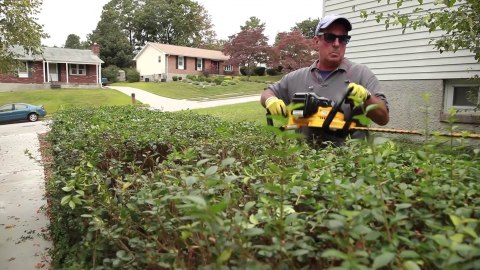 Akumulatorowe nożyce do żywopłotu 55cm, 18V Li-Ion 1x5,0Ah DeWalt [DCM563P1-QW]