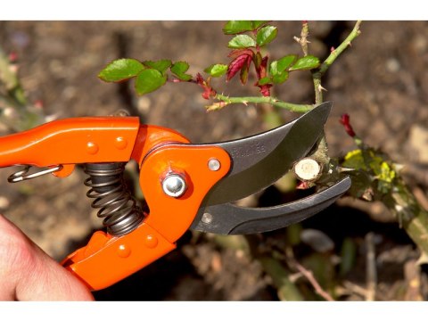 Profesjonalny sekator jednoręczny do gałęzi Bahco [P110-20-F]