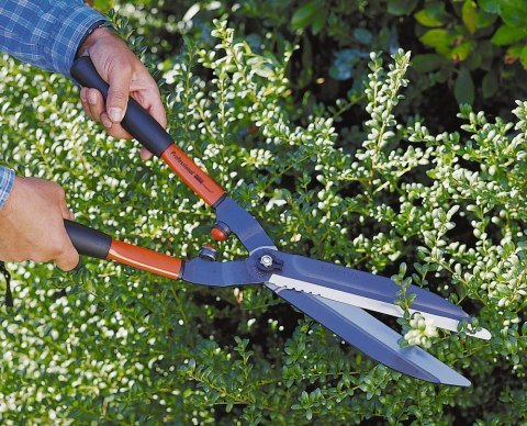 Profesjonalne nożyce do żywopłotu Bahco [P51-F]