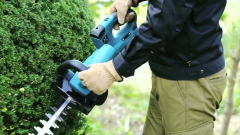 Akumulatorowe nożyce do żywopłotu, 18V, 2x5,0Ah, 55cm, Makita [DUH551PT2] + Gratis rękawice i olej