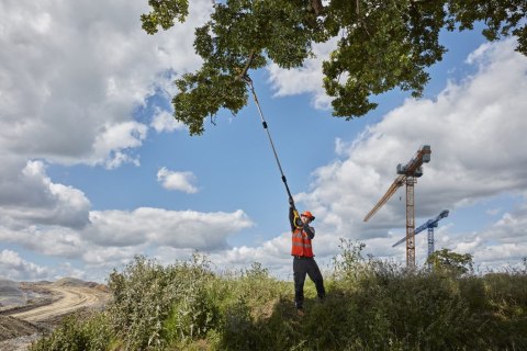 Akumulatorowa piła łańcuchowa 20cm na wysięgniku 3m, 18V, DeWalt [DCMPS567N-XJ]