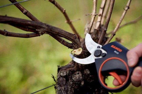 Akumulatorowy sekator ogrodniczy 35mm; 43,2V Bahco [BCL23] 3,4Ah, Li-Ion