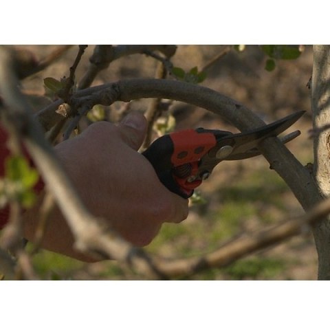 Sekator ergo z obrotową rękojeścią, rozmiar S, Bahco [PXR-S2] zakres cięcia 20 mm