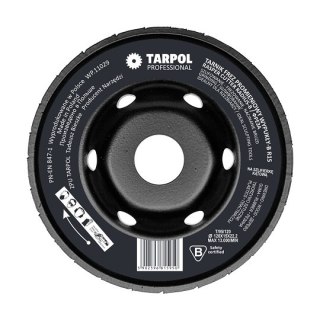 Tarnik frez promieniowy wypukły R15 - B, do szlifierek kątowych, 120 x 22,2 x 15 mm, TARPOL [T-95]