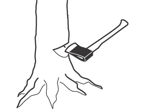 Profesjonalna siekiera do ścinania drzew 800mm Bahco [FCP-1.8-810]