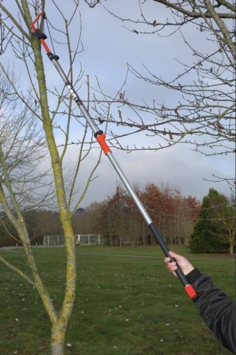Profesjonalny sekator na wysięgniku, długość całkowita 2,2m Bahco [AP-234-F]