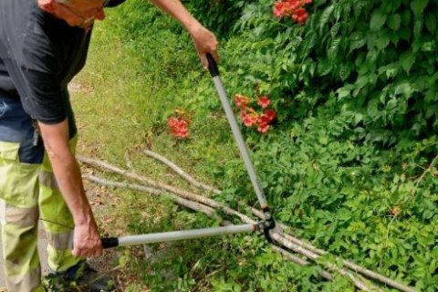 Sekator dwuręczny, dźwigniowy do gałęzi 850mm, Bahco [P173-SL-85]