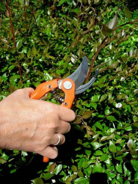 Sekator jednoręczny do krzewów Bahco [P121-20-F]