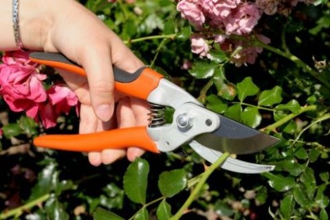 Wzmocniony sekator jednoręczny do krzewów Bahco [P5-20-F]