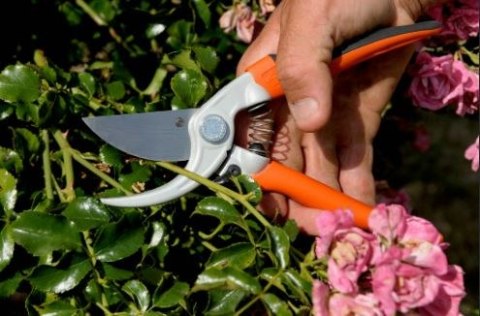 Wzmocniony sekator jednoręczny do krzewów Bahco [P5-20-F]