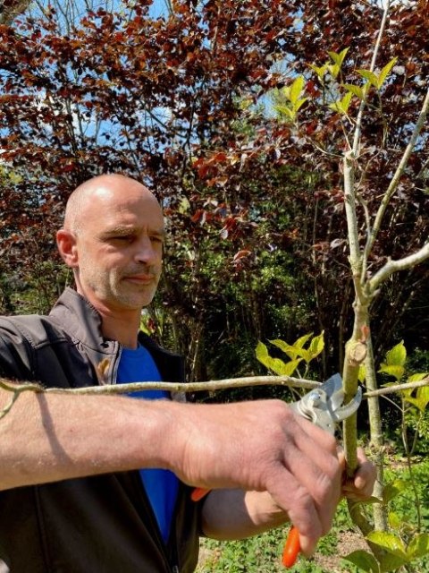 Wzmocniony sekator jednoręczny do krzewów Bahco [P5-23-F]